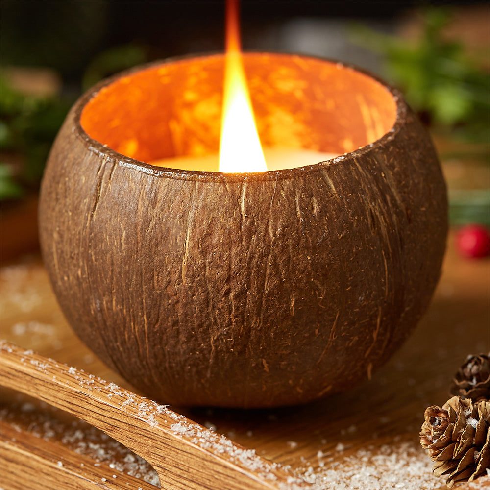 Coconut Shell ~ Candle (Citrus Lime Scent)