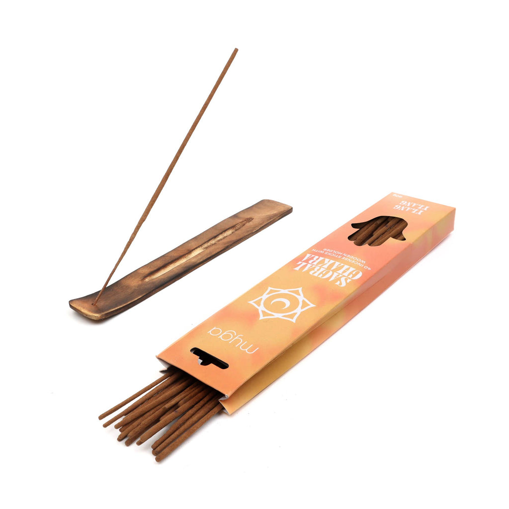 Chakra Balancing ~ Incense Set (7 Packs of 40 Sticks)