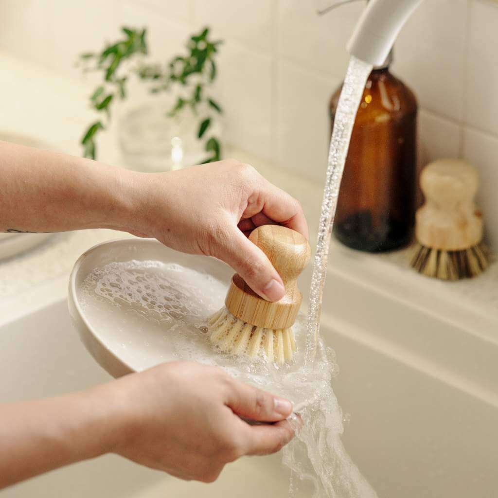 Pots & Pans ~ Scrubbing Brushes (Set of 2)