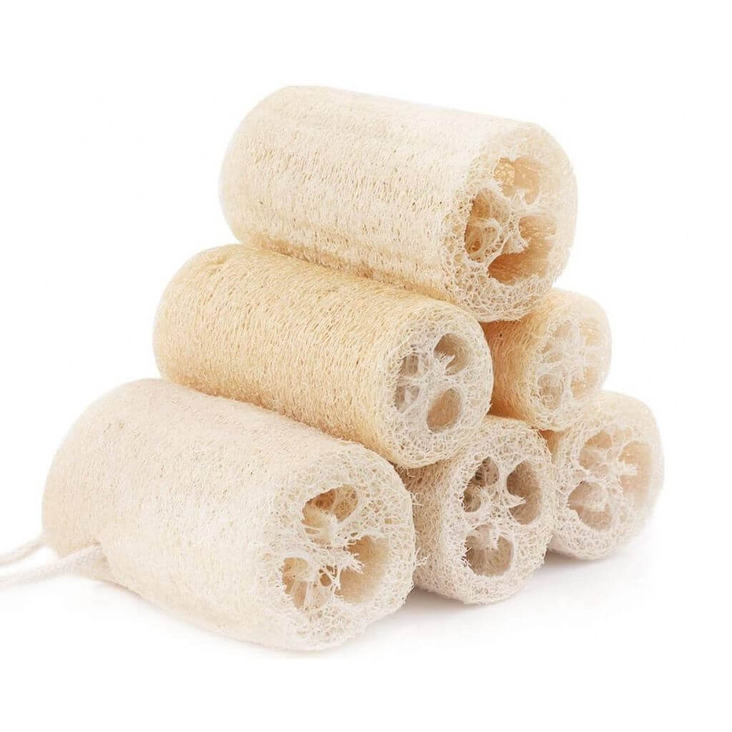 Natural Loofah ~ Organic Exfoliating Sponge